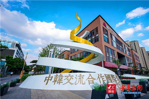 培植阳光沃土 城阳为金花成长打造信息技术热带雨林