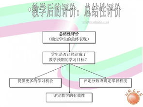 我国中小学信息技术教育的现状与发展 聚焦网络技术